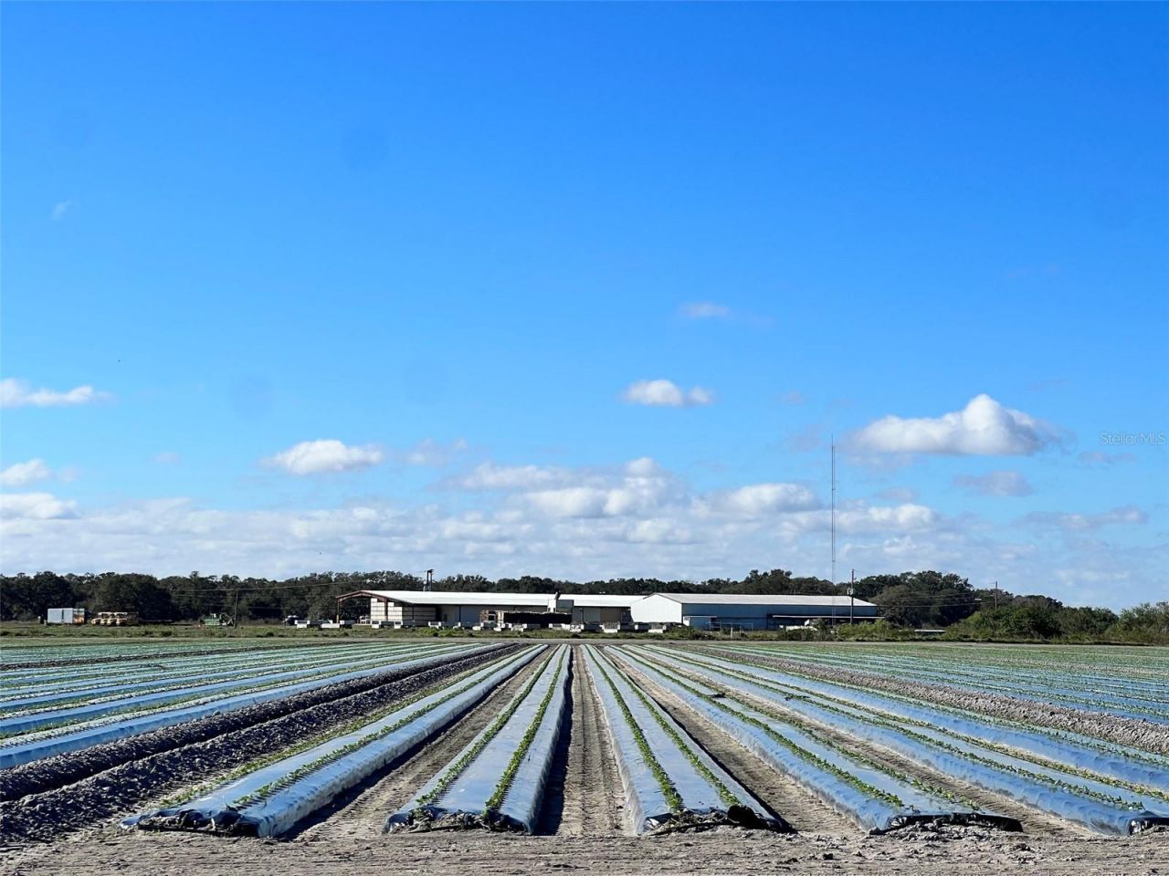 3851 W State Road 60, Okeechobee, FL 34972 Photo