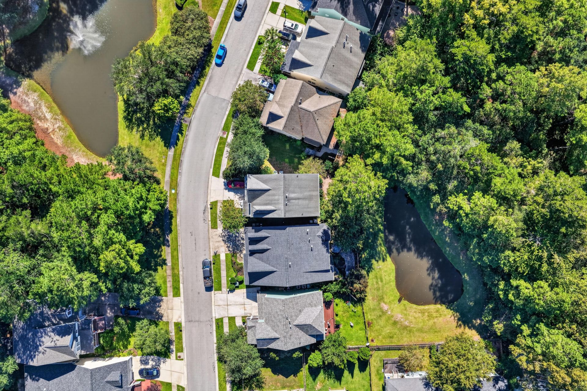 146 Ashley Bluffs Road Photo 51