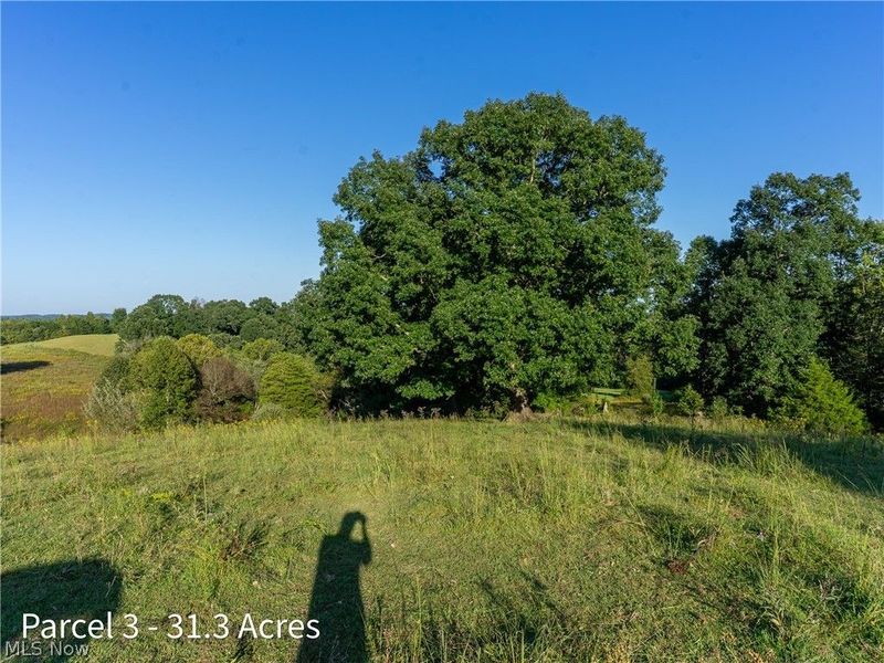2886 Raysville Road, Wellston, OH 45692 Photo 39
