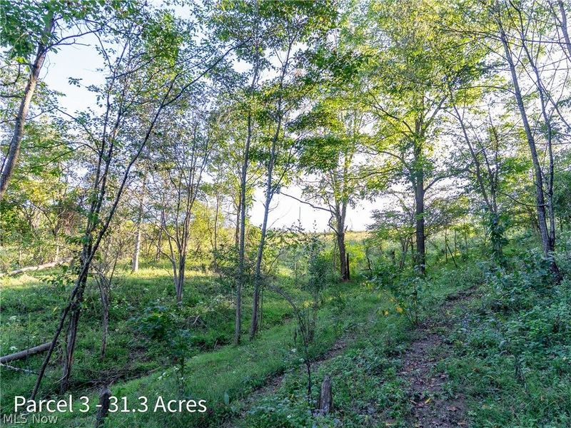 2886 Raysville Road, Wellston, OH 45692 Photo 46