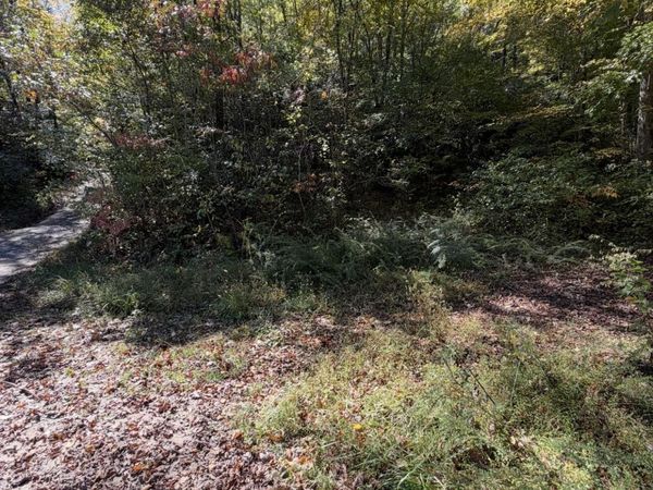 2290 Healy Fields Road , Andrews, NC 28901