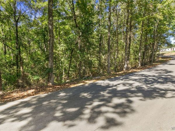 000 Mountain View Lane , Vance, AL 35490