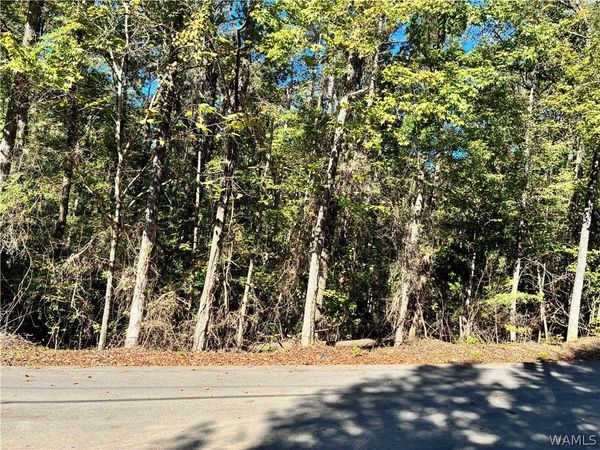 000 Mountain View Lane , Vance, AL 35490