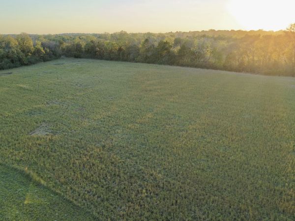 0 Cedar Grove Rd , Unit 2, Chapel Hill, TN 37034