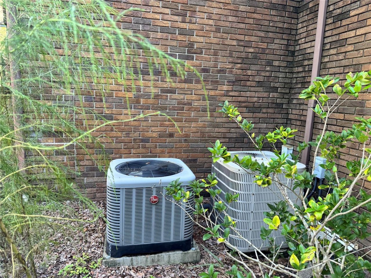 5385 Suwannee Road , Spring Hill, FL 34607 Photo