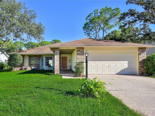 7103 CROWN OAKS DRIVE, SPRING HILL, FL 34606