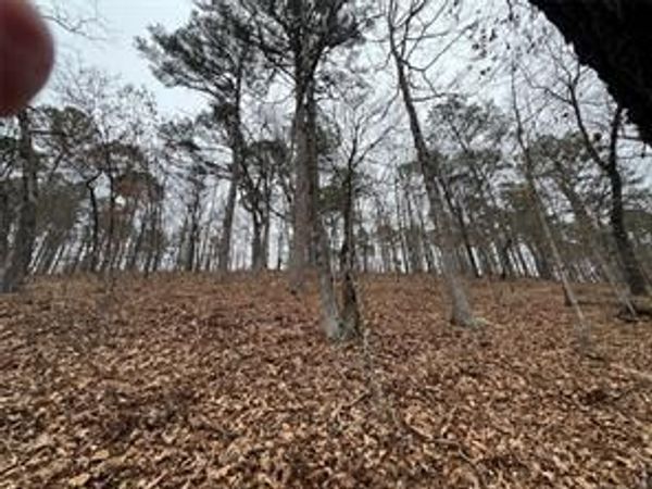 Pinto Circle , Kansas, OK 74347