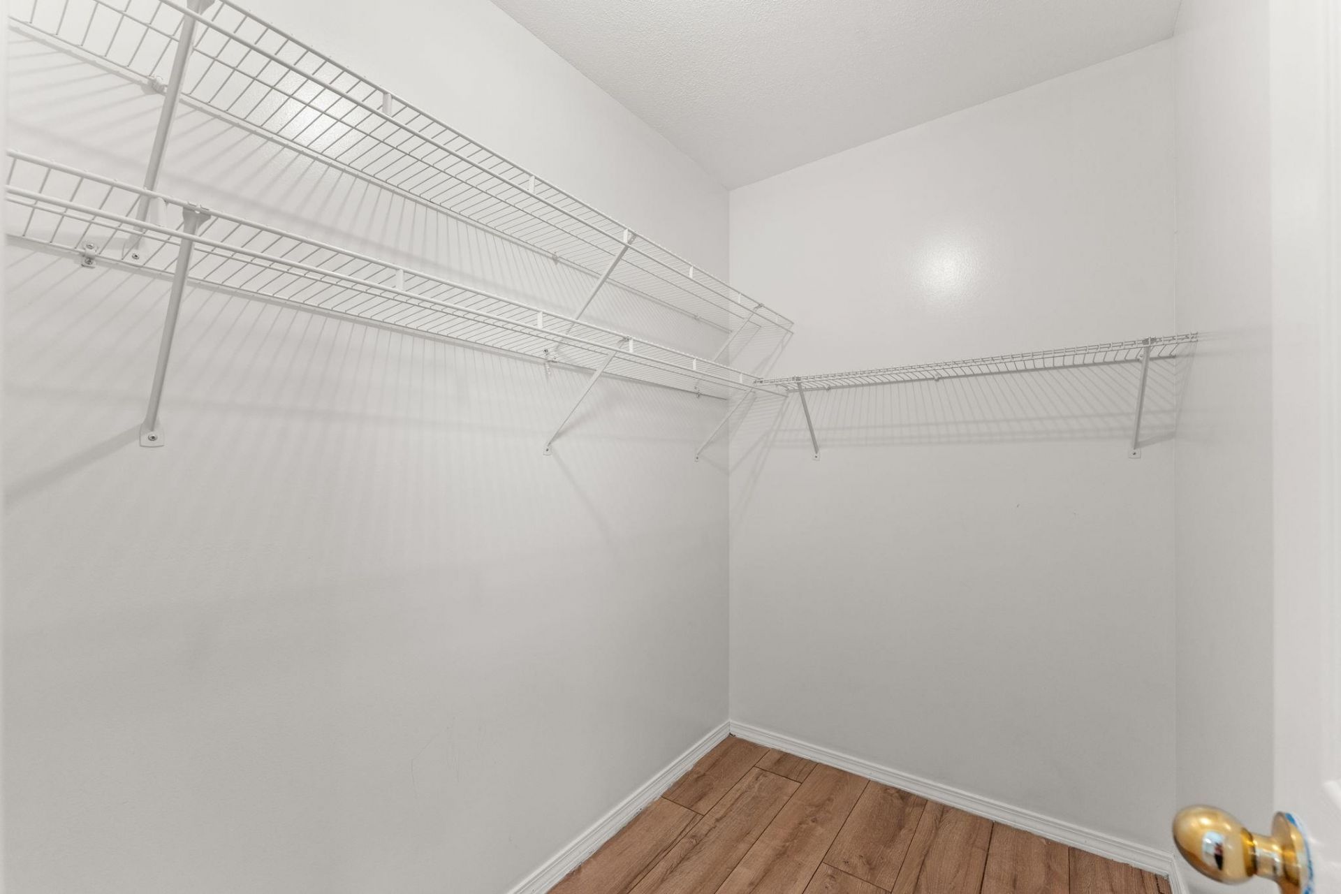 729 Dragonfly Dr. Photo 18