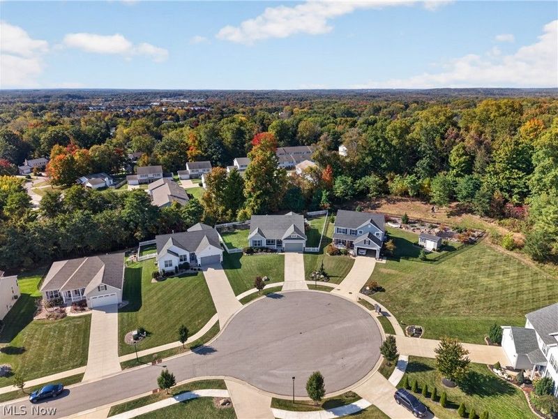 10007 Forest Valley Lane, Streetsboro, OH 44241 Photo 48