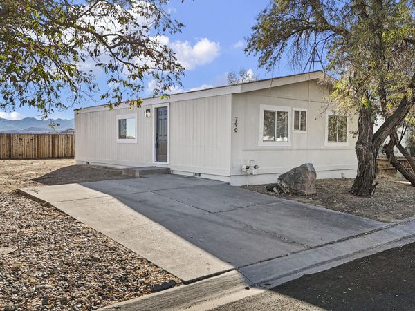 790 Chari Drive, Moundhouse, NV 89706