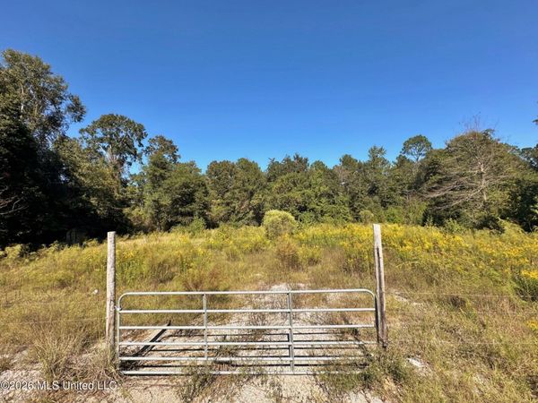 1ac Highway 198, Beaumont, MS 39423