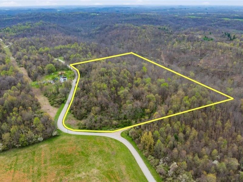Bush Road, Crooksville, OH 43731 Photo 2