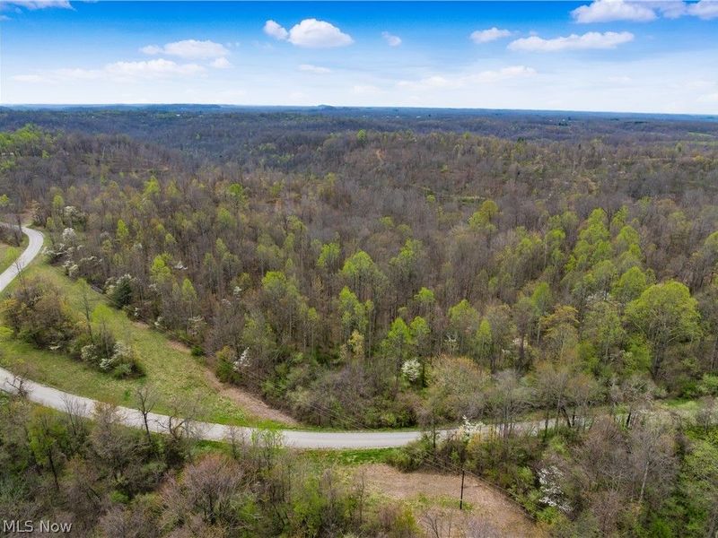 Bush Road, Crooksville, OH 43731 Photo 4