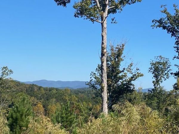 0 Mystic Drive, Ellijay, GA 30540
