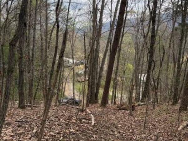 151 Hennessy Mountain Way, Cosby, TN 37722