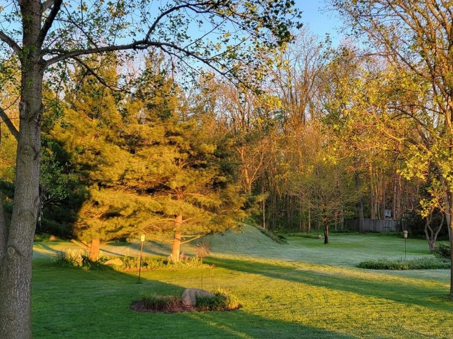 Property Image 35
