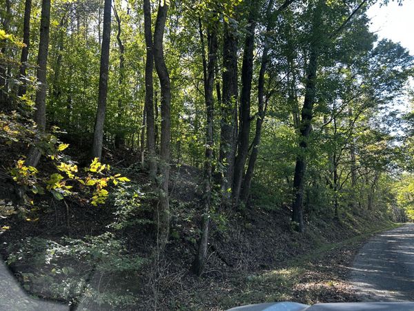 40 Roberts Road , Prospect, TN 38477