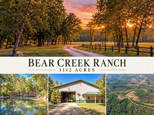 903 Reno Springs Road , Walnut Shade, MO 65771
