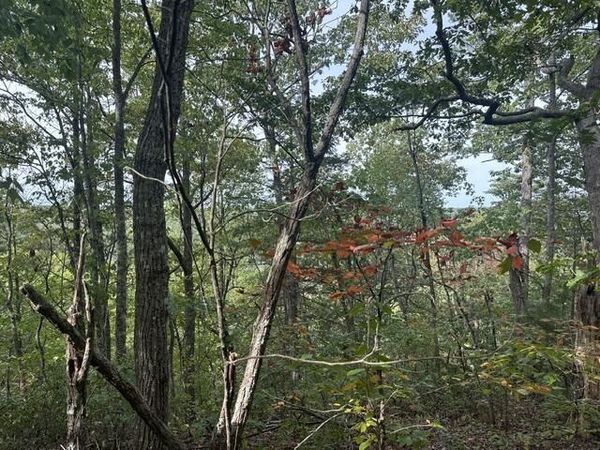 Lot 155 Mountain View Lane, Wilder, TN 38589