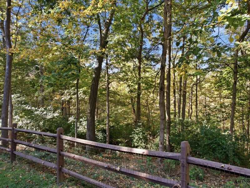 462 Windfern Forest Lane, Union Township, OH 45244 Photo 91