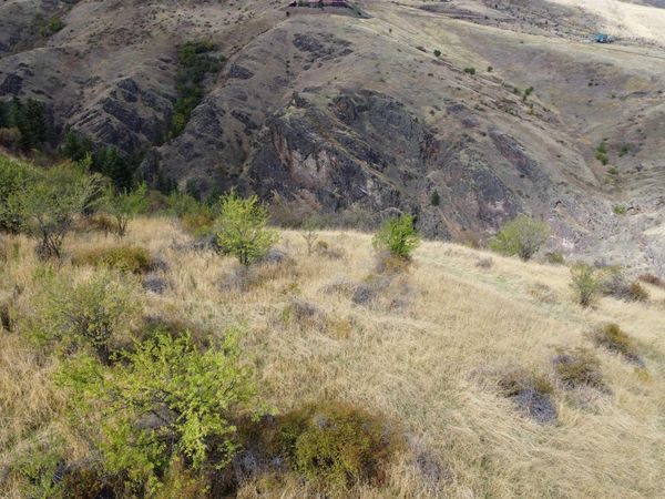 000 Mountain View Rd, White Bird, ID 83554