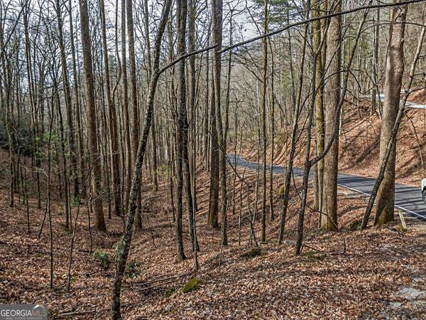 LOT 296 & 297 Evergreen Lane, Sky Valley, GA 30537