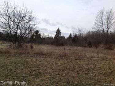Lot 2 Mason Road , Howell Township, Mi 48843