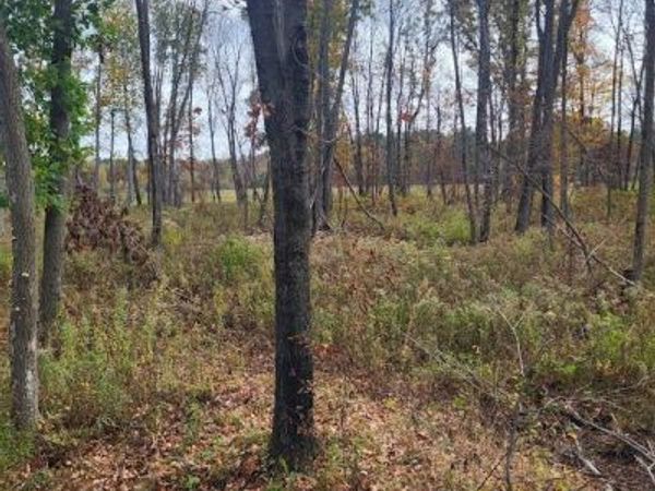 W7943 Moonlite Rd., Neillsville, WI 54456