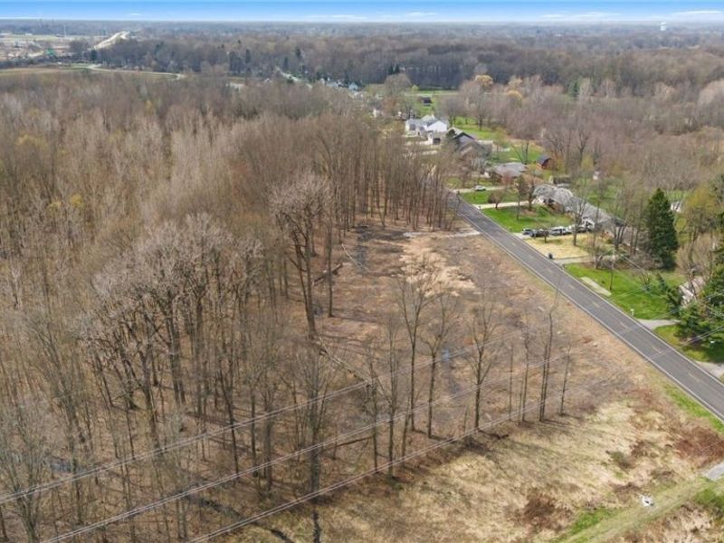 V/L Chestnut Ridge Road , North Ridgeville, OH 44039 Photo 4