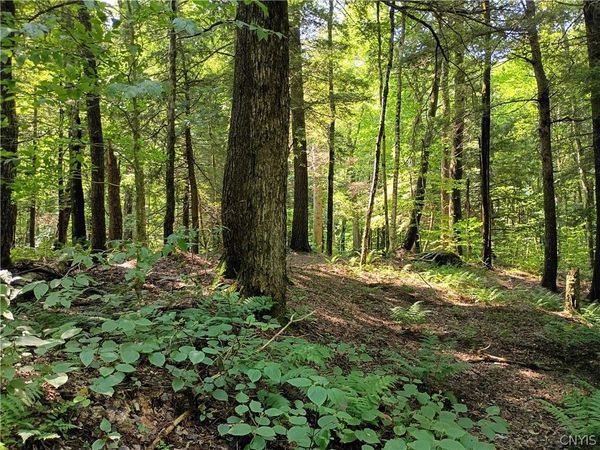 Tomahawk , Forestport, NY 13338