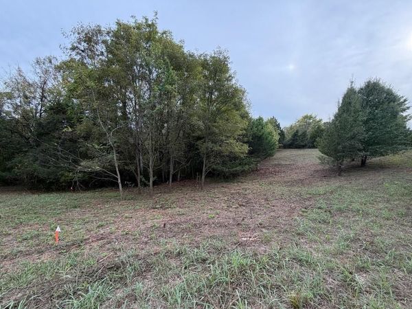 Lot 4 Moneta RD , Moneta, VA 24121