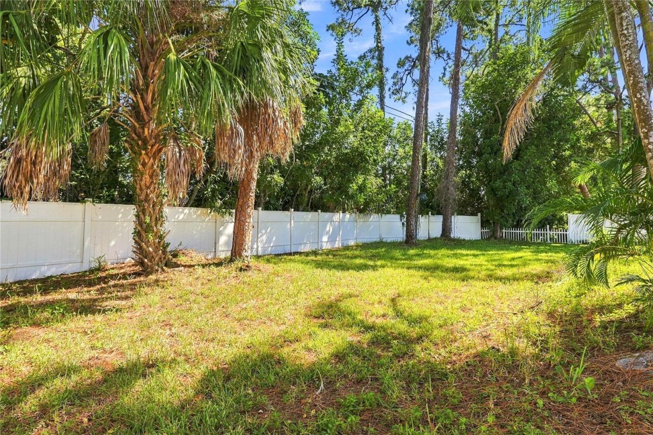 14069 Crane Terrace, Clearwater, FL 33762 Photo