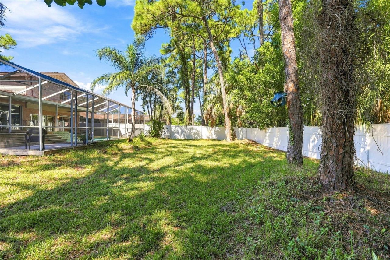 14069 Crane Terrace, Clearwater, FL 33762 Photo