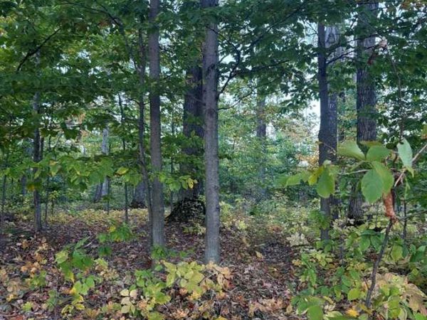 4840 Turfway Trail, Harbor Springs, MI 49740