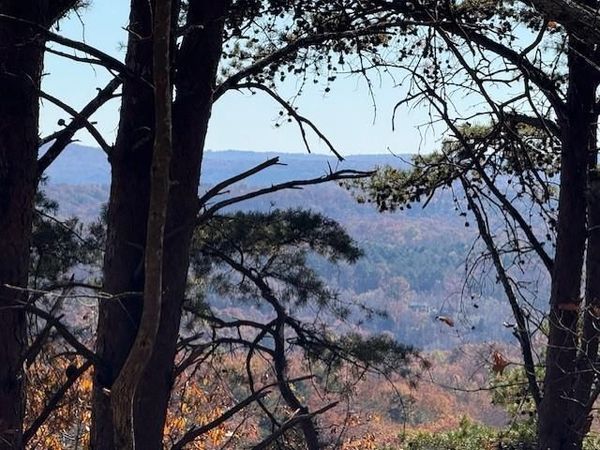 0 John Call Rd - 181.51ac , Talking Rock, GA 30175