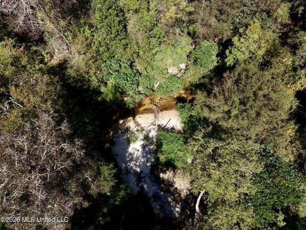21.79 Acre Homer Ladner Road, Poplarville, MS 39470