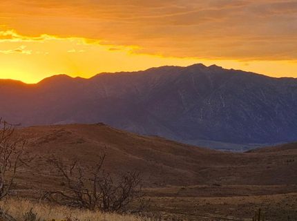 8601 Pinenut Creek Road, Gardnerville, NV 89410 Photo