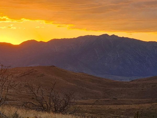 8601 Pinenut Creek Road, Gardnerville, NV 89410