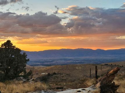 8601 Pinenut Creek Road, Gardnerville, NV 89410 Photo