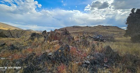 8601 Pinenut Creek Road, Gardnerville, NV 89410 Photo
