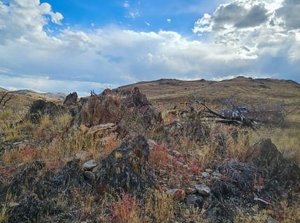 8601 Pinenut Creek Road, Gardnerville, NV 89410 Photo
