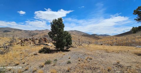 8601 Pinenut Creek Road, Gardnerville, NV 89410 Photo