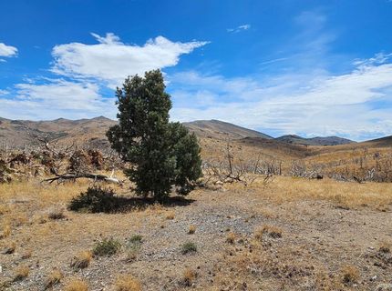 8601 Pinenut Creek Road, Gardnerville, NV 89410 Photo