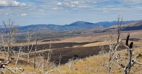 8601 Pinenut Creek Road, Gardnerville, NV 89410 Photo