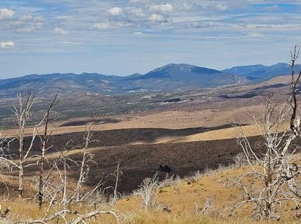 8601 Pinenut Creek Road, Gardnerville, NV 89410 Photo