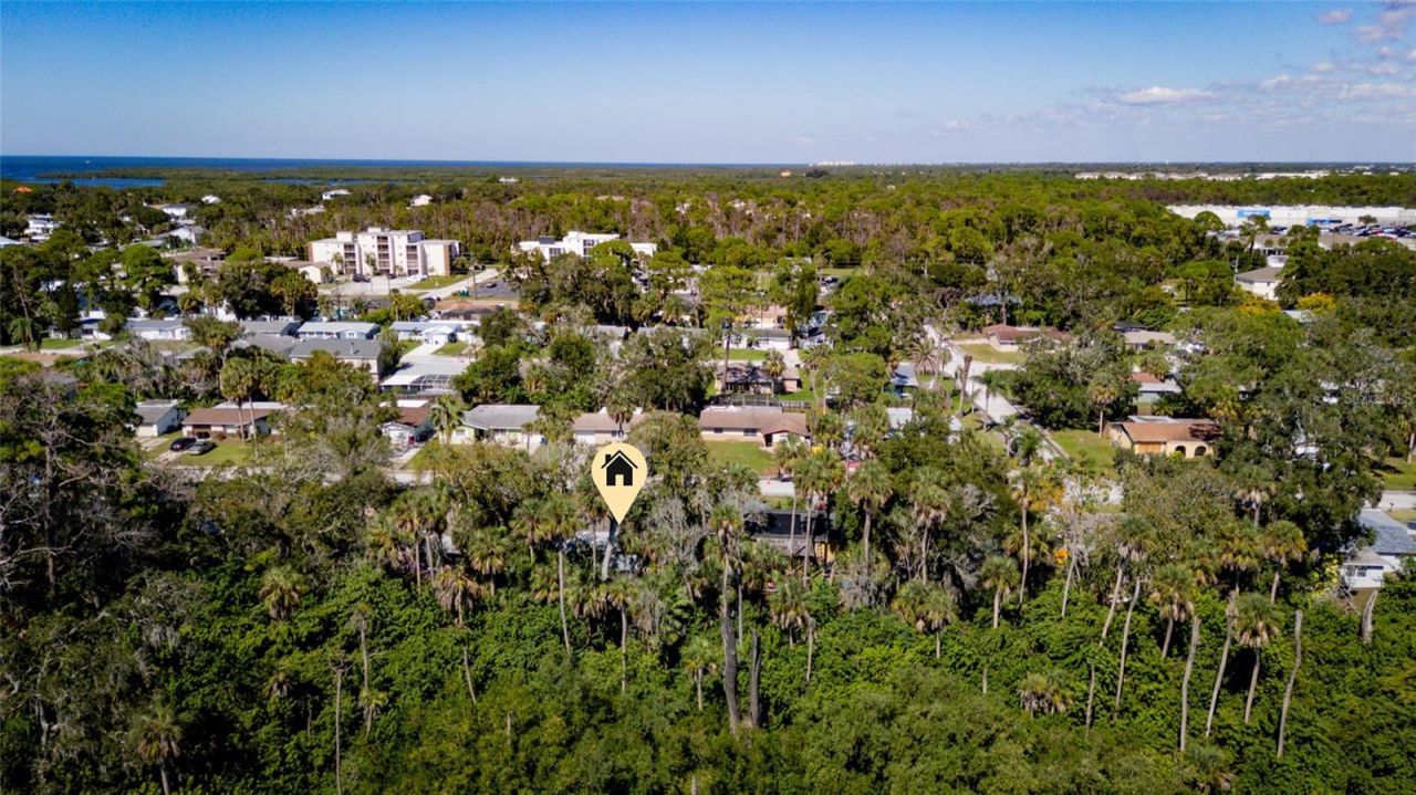 5614 Berlin Drive, Port Richey, FL 34668 Photo