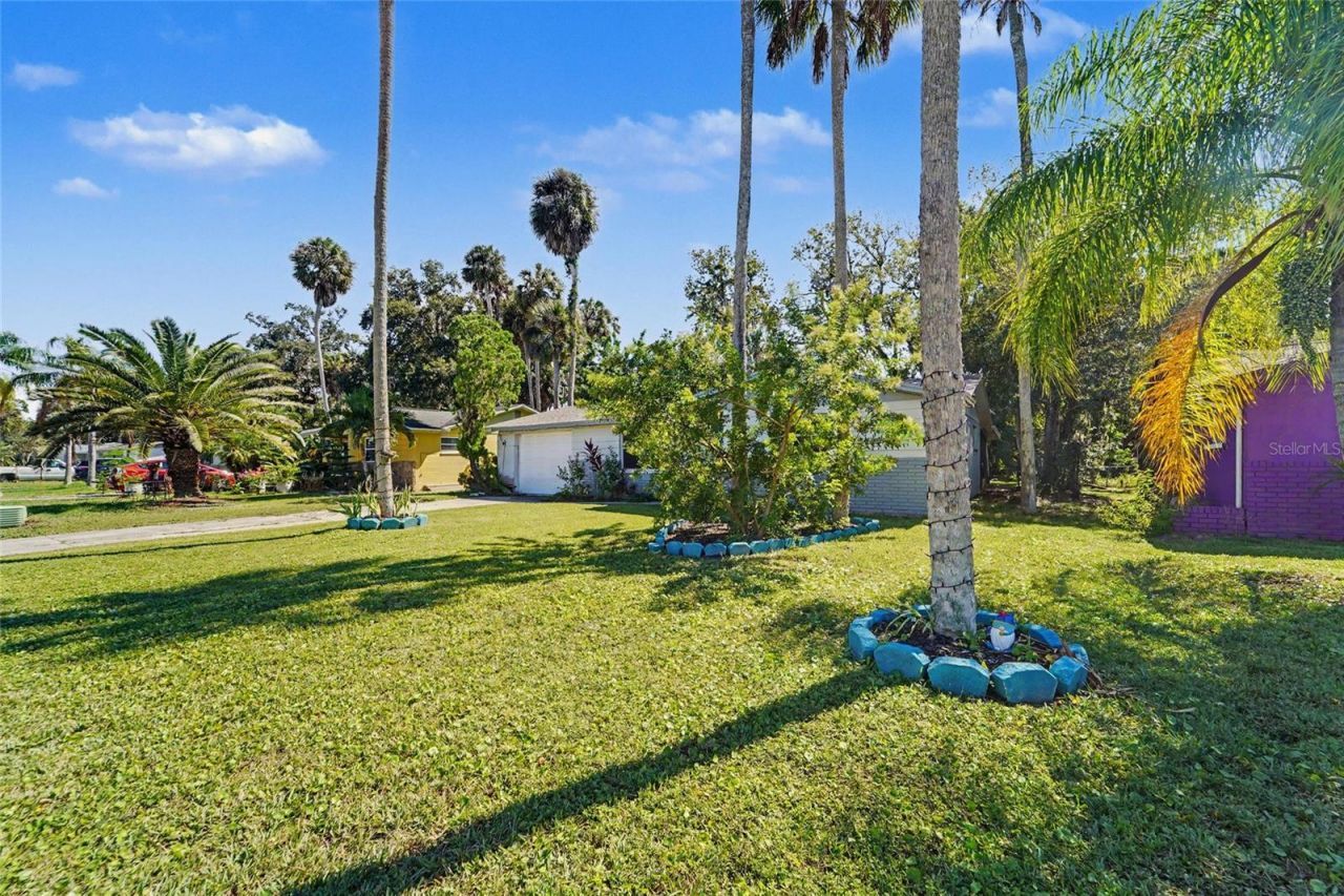 5614 Berlin Drive, Port Richey, FL 34668 Photo