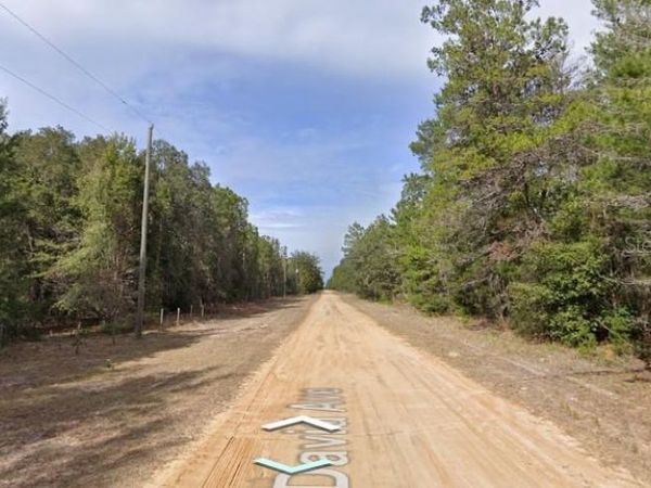 DAVID AVE , INTERLACHEN, FL 32148