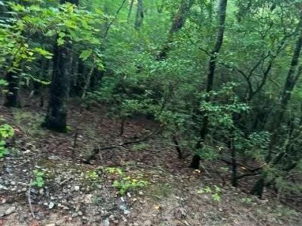 LOTS 3&4 Amicalola Woods Road, Dawsonville, GA 30534