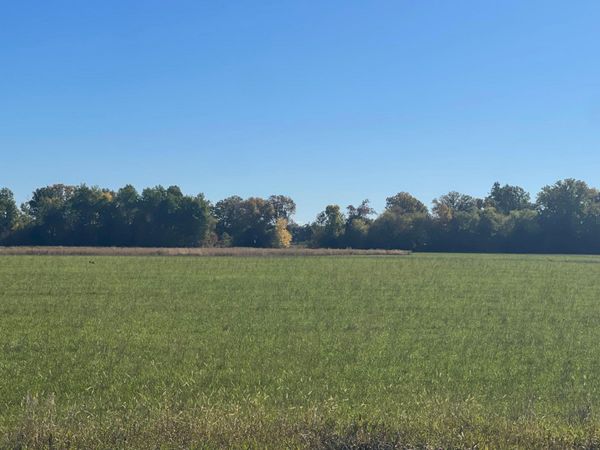 TBD XXX 85th Avenue, Lot 4 , Princeton, MN 55371